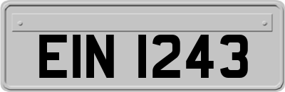 EIN1243
