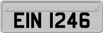 EIN1246