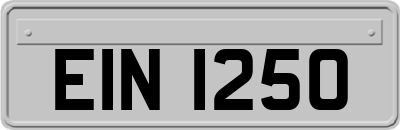 EIN1250