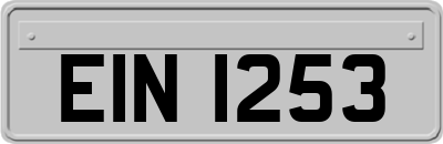 EIN1253