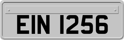 EIN1256
