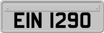 EIN1290