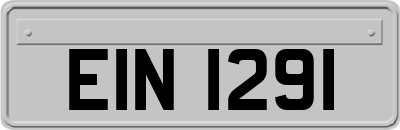 EIN1291