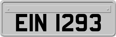 EIN1293