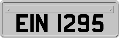 EIN1295