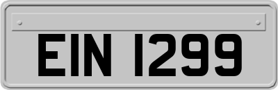EIN1299