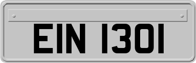EIN1301
