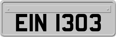 EIN1303