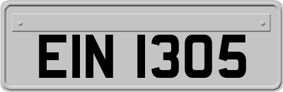 EIN1305