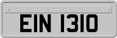 EIN1310