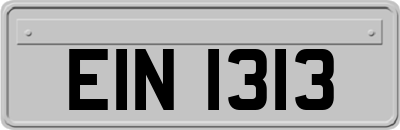 EIN1313