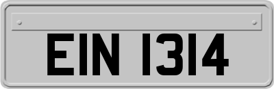 EIN1314