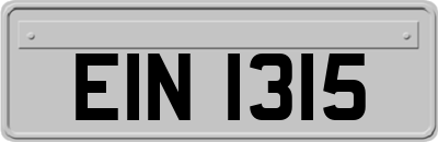 EIN1315