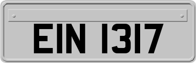 EIN1317