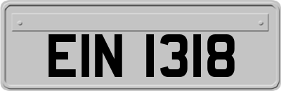 EIN1318