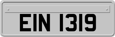EIN1319