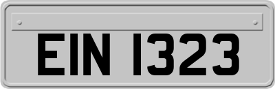 EIN1323