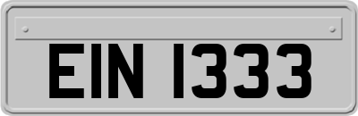 EIN1333