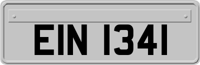 EIN1341