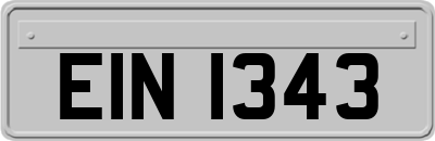 EIN1343