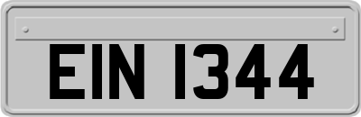 EIN1344