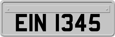 EIN1345