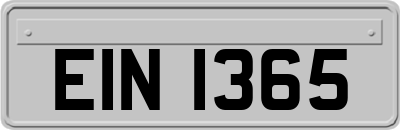EIN1365