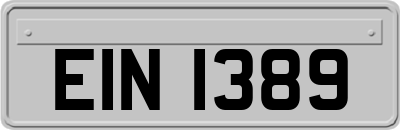 EIN1389
