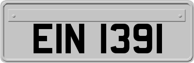 EIN1391