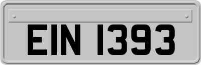 EIN1393