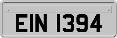 EIN1394