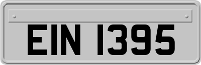EIN1395