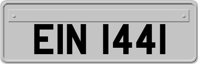 EIN1441