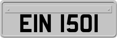EIN1501