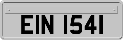 EIN1541