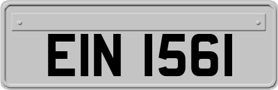 EIN1561