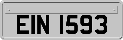 EIN1593