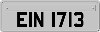 EIN1713