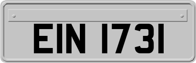 EIN1731