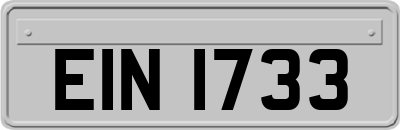 EIN1733