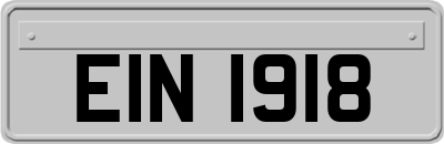 EIN1918