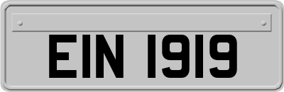EIN1919