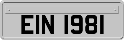 EIN1981
