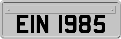 EIN1985
