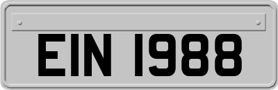 EIN1988