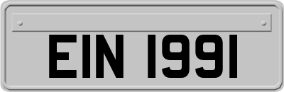 EIN1991