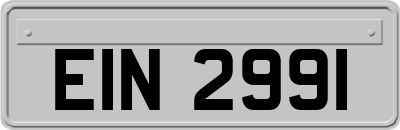 EIN2991