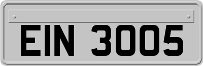 EIN3005