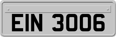 EIN3006