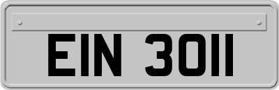 EIN3011